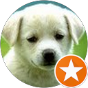 anthony tran profile picture